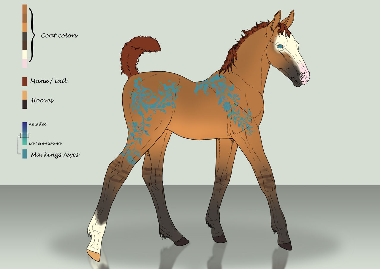 Venequia Foal Design for DareenyY by SweetLittleVampire on DeviantArt