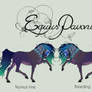 Equus Pavonis Stallions