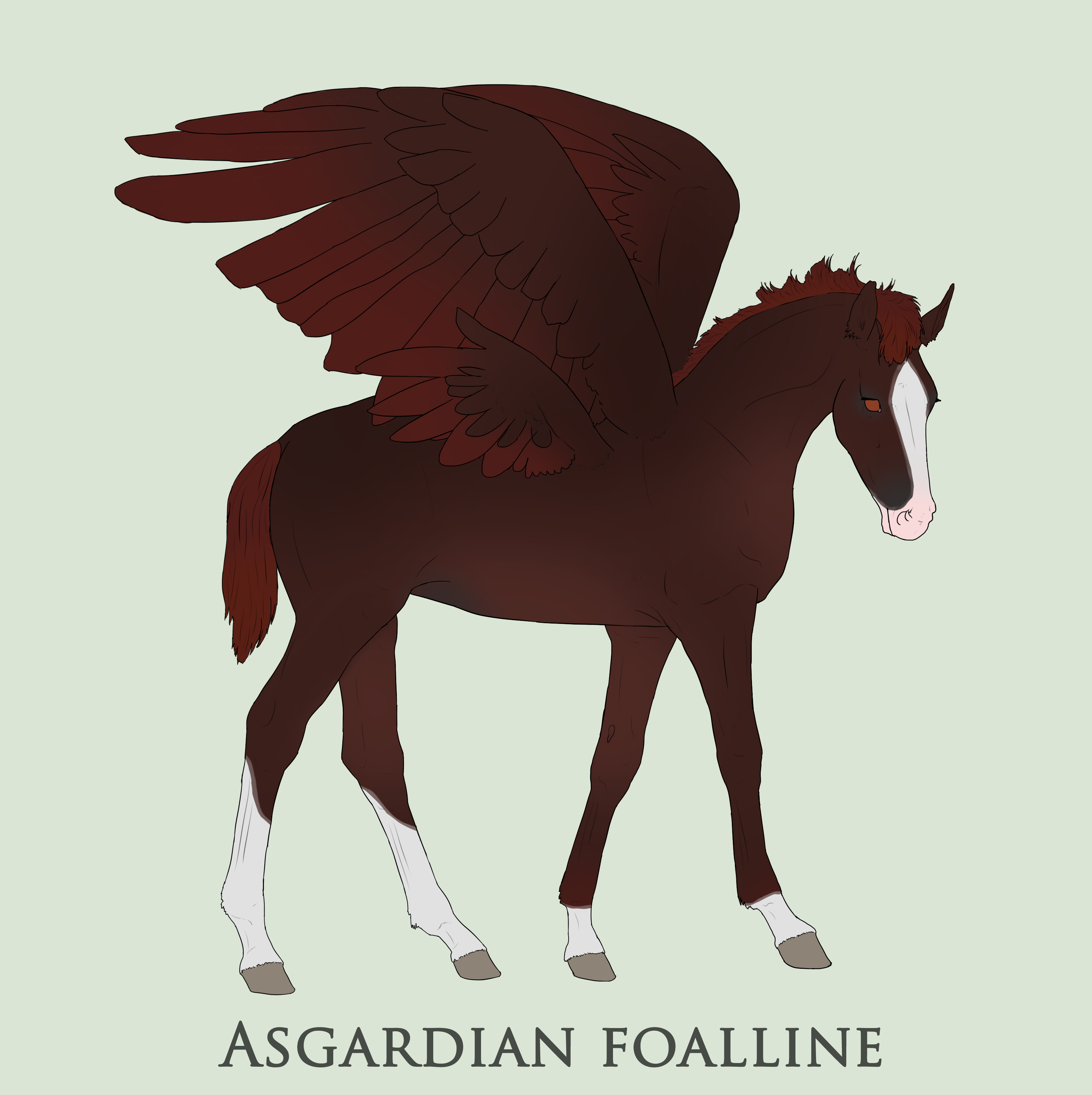 Asgardian Design | ID B023 | Artanis | Filly