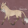 Bacon Design || Lady Ceridwen || Glenmore