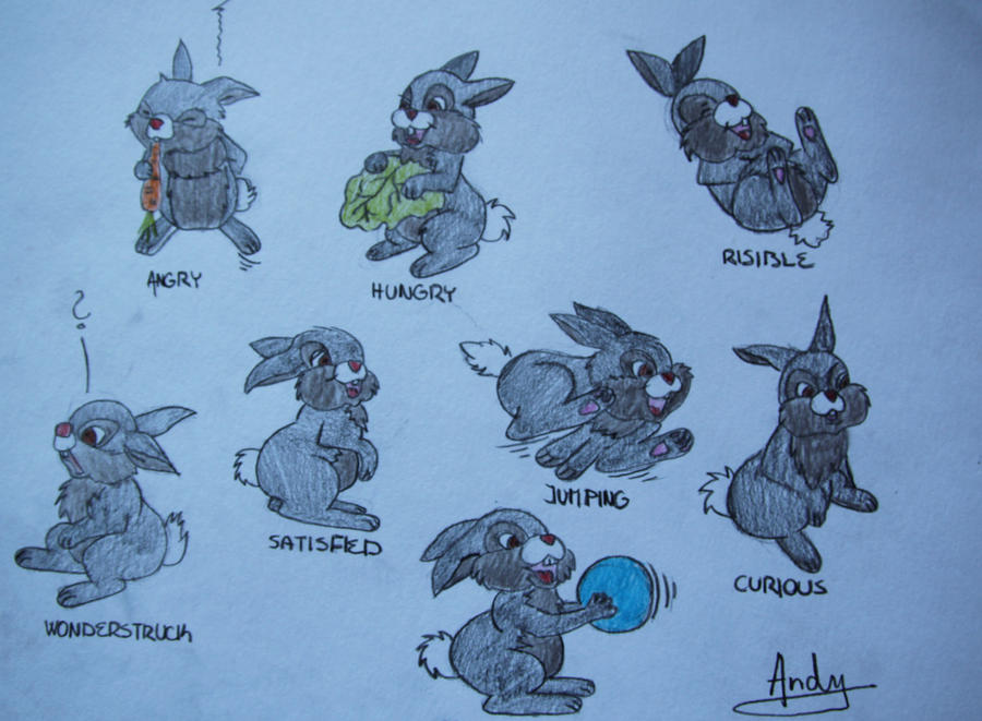 Deviantart Mini Rabbit Small rabbits by AndyKee on DeviantArt