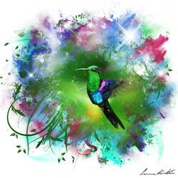 Colibri digital art