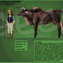Indian Aurochs Reference Sheet