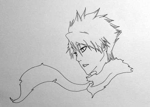 Hitsugaya: Frozen Pride