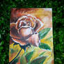 Rose in bloom Painting