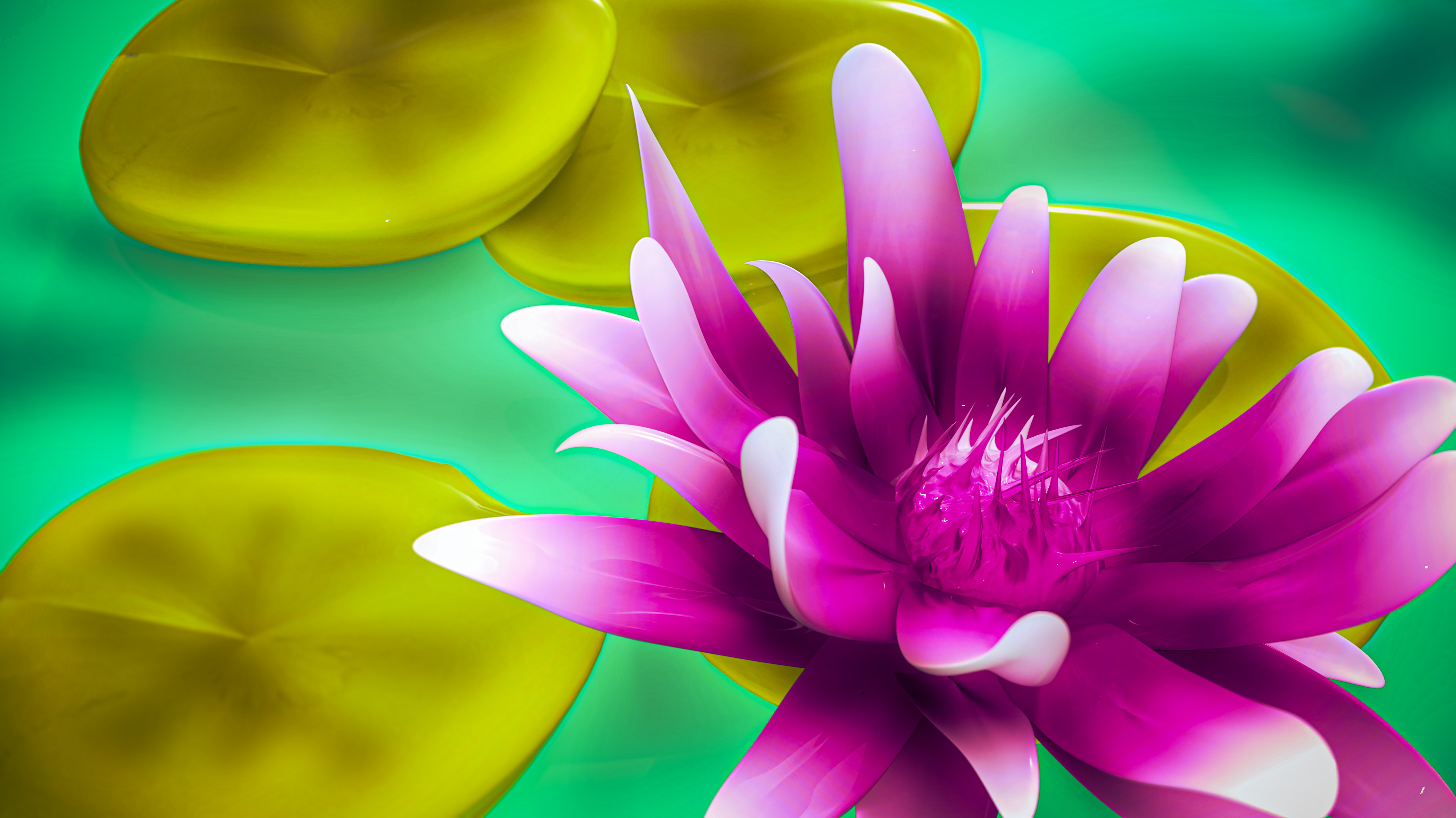 Water lily, my first attempt with Zbrush