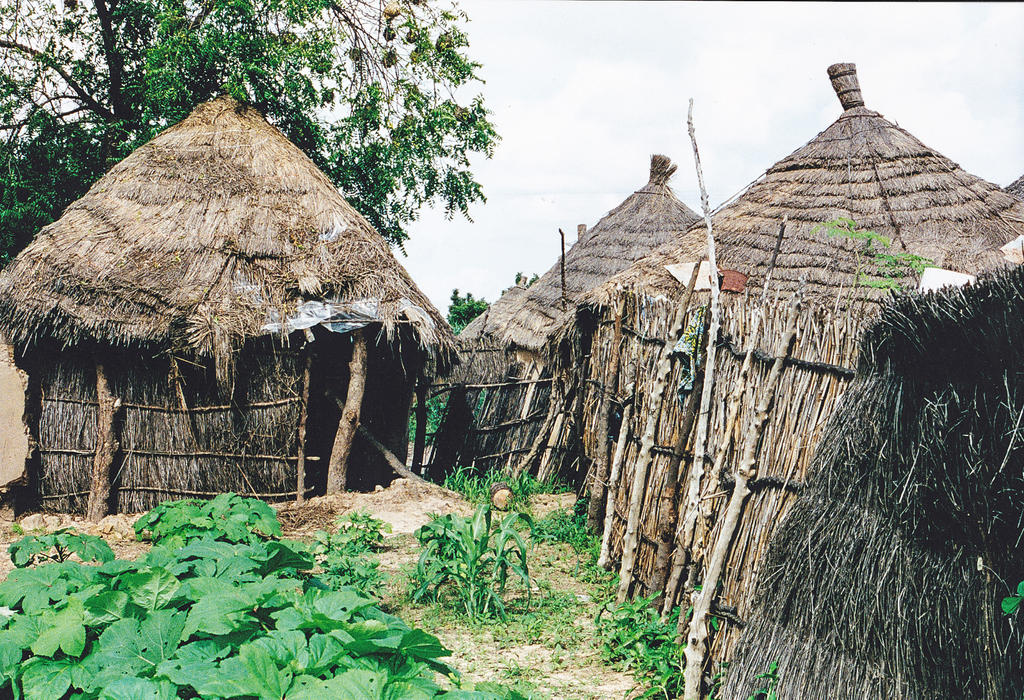 Old simpel primitive houses in Gambia