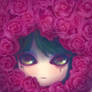 Aselleus