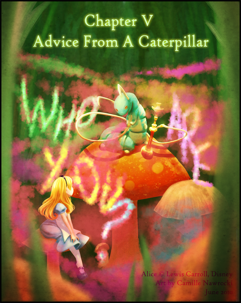 Chapter V Advice From A...