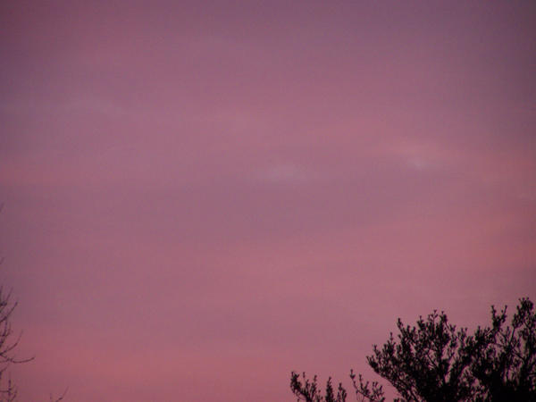 Pink sky