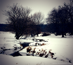 Winter Stream