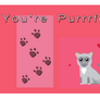 You're Purrrfect!