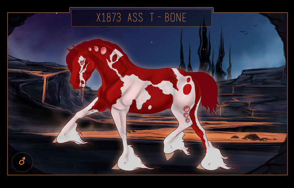 X1873 - ASS T-Bone
