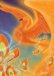 Phoenix Touched by Astralseed