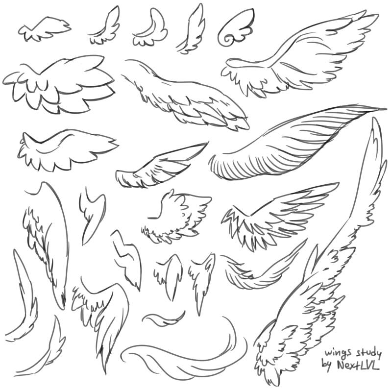 Wing Flying Reference Wings Reference at Lori Allan blog