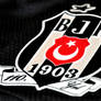 Besiktas 110. YIL Logo