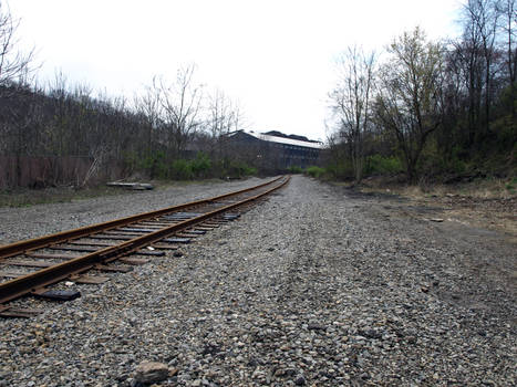 Along the Tracks