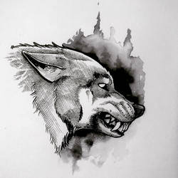 Wolf head