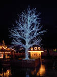 Blue Xmas Tree by BluePalmTree