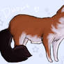 Dhole for Anti-Wolf