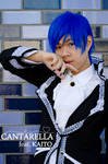 Vocaloid: La Cantarella by K1ngd0mHe4rtsZ