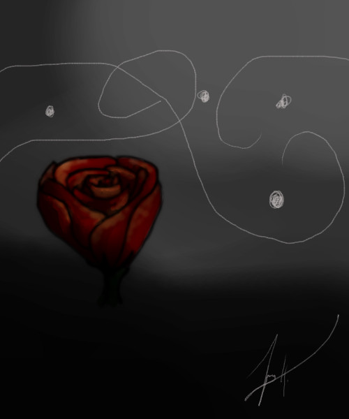 Rose in Darkness