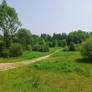 Summer Paths