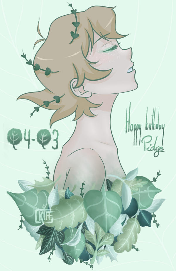 Happy Birthday Pidge