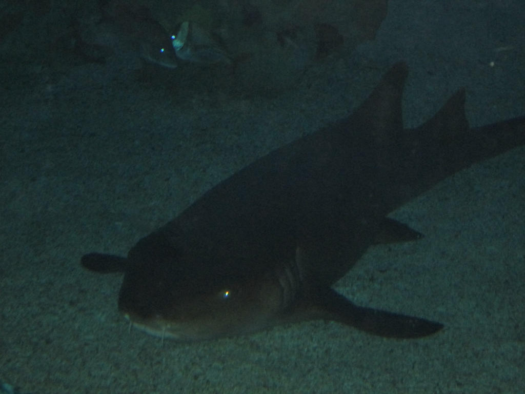 A Little R and R by A1r2i3e4l5 on DeviantArt