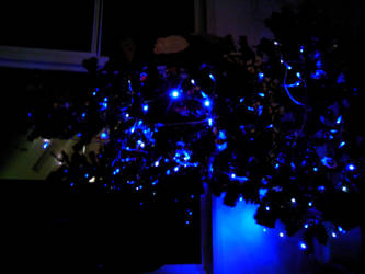 XmasTree_dark