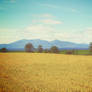 Fields and Isle of Arran 2