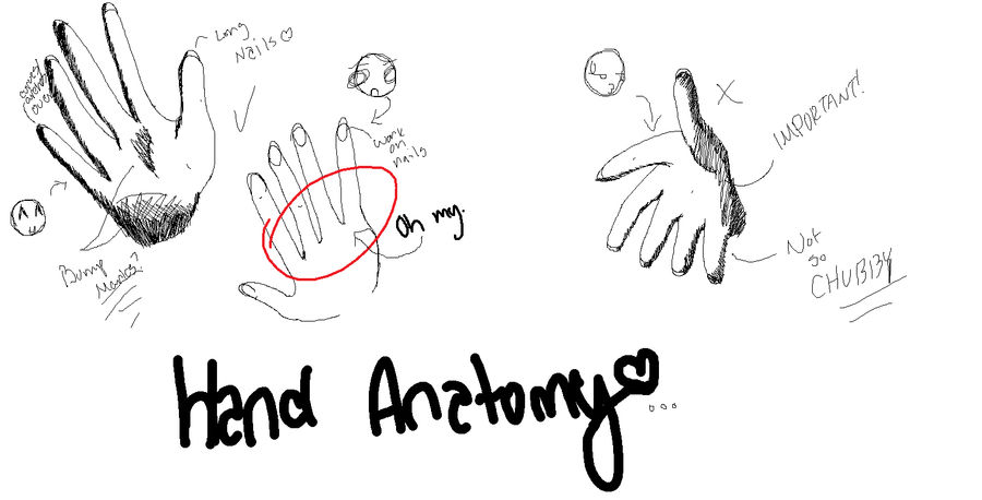 Edited Hand Edit Hand Anatomy by Lyraful on DeviantArt