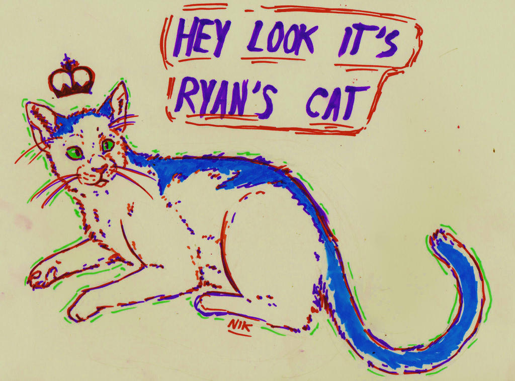 ryan's cat