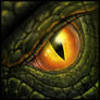 Dragon Eye