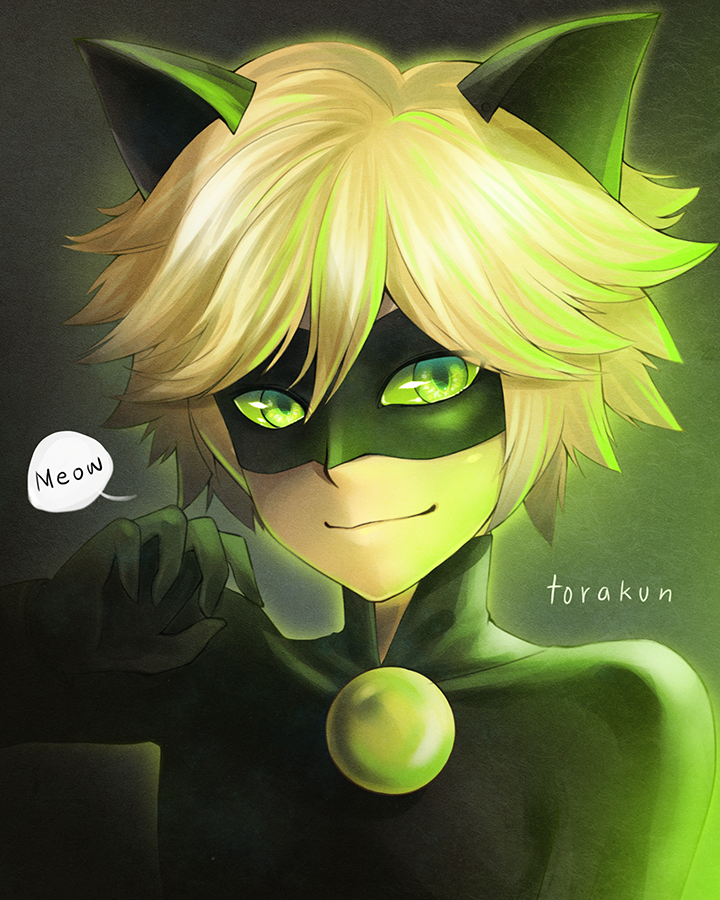 Fanart: Chat Noir (Miraculous Ladybug)