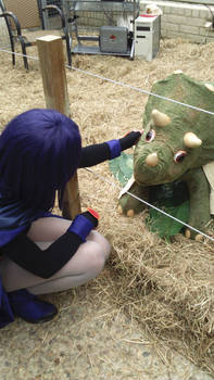 Raven found Beastboy at Elfia Arcen