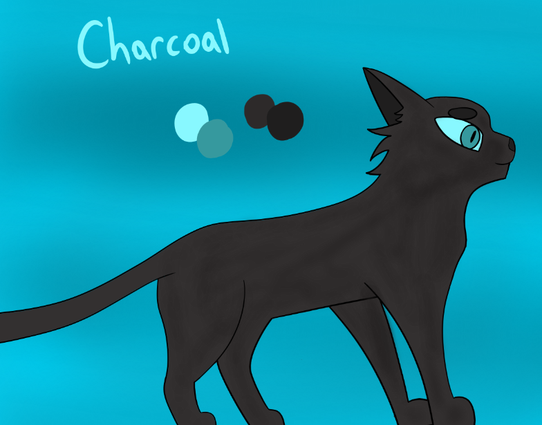 Charcoal Reference Sheet (kind of)