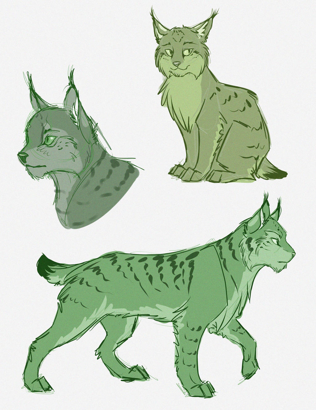 Lynx Doodles