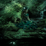 Forest Nymph