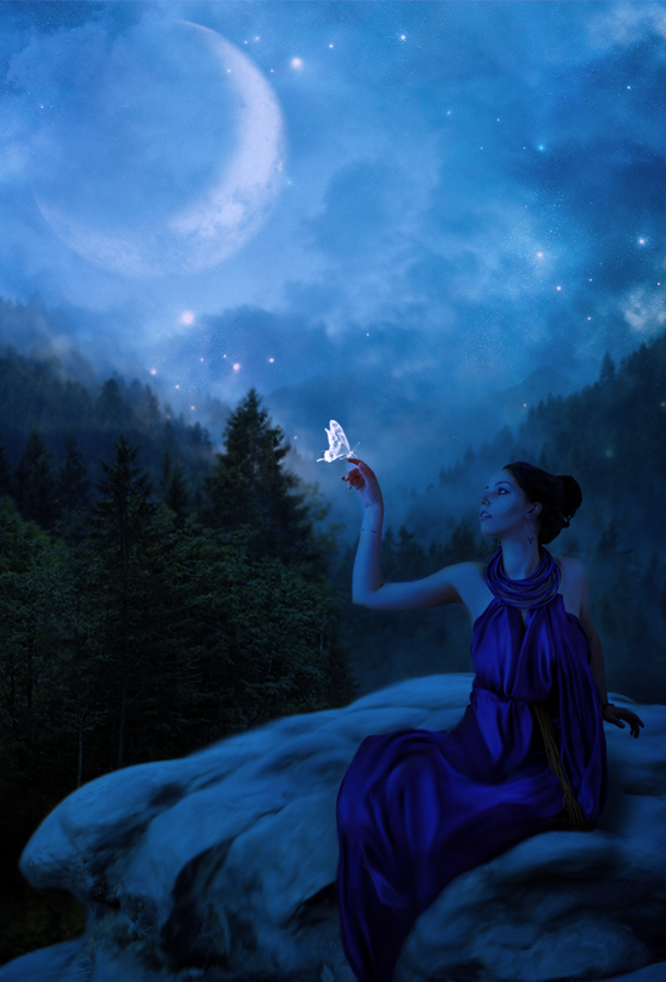 Moonlight Flight