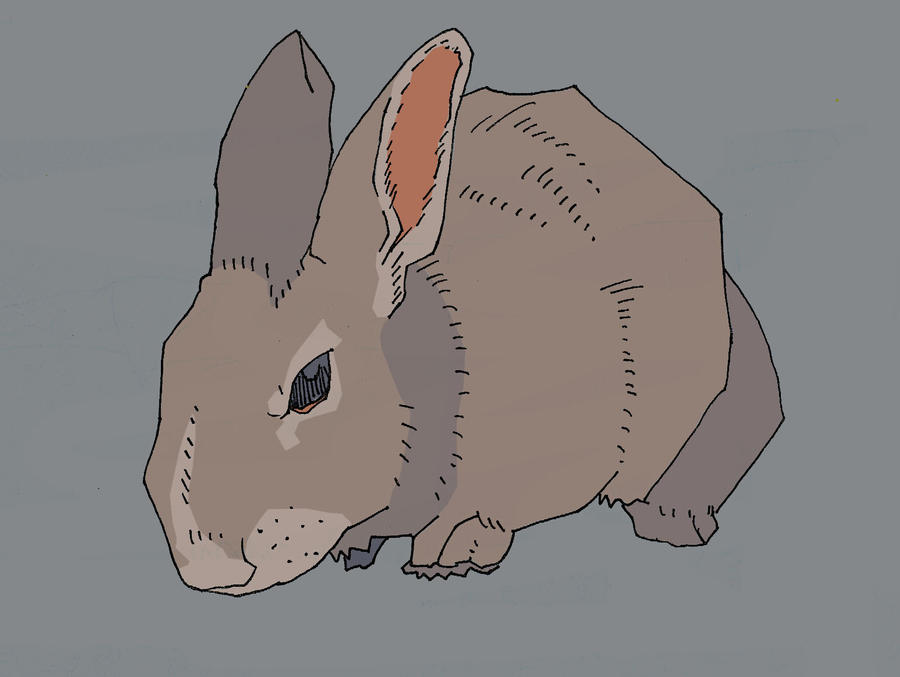 bunny