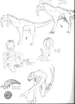 Alien Wildlife Concepts