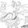 Dragon scetches
