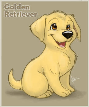 Golden Retriever puppy