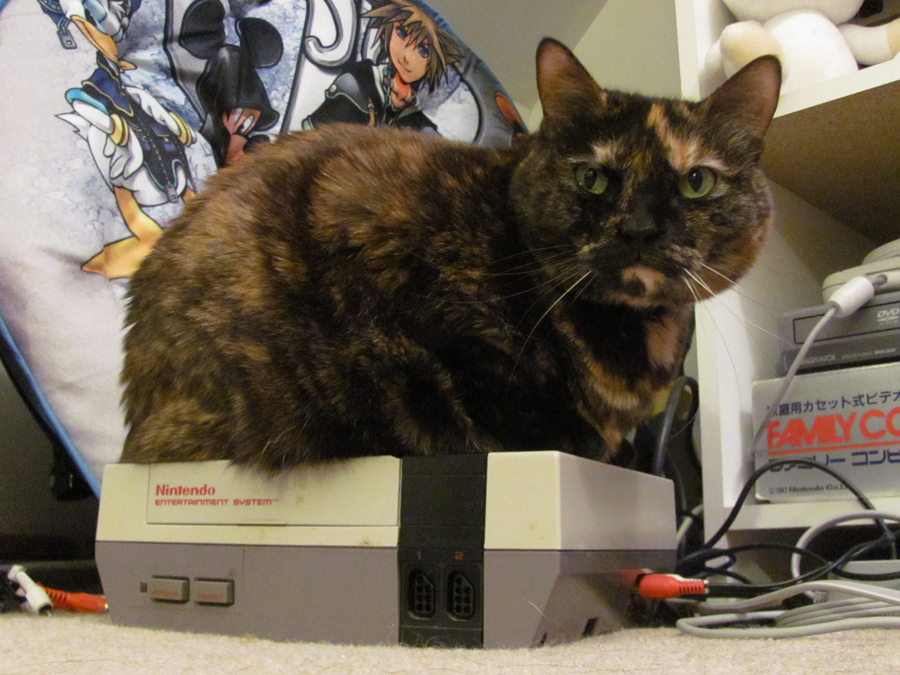 My NES has a Bug