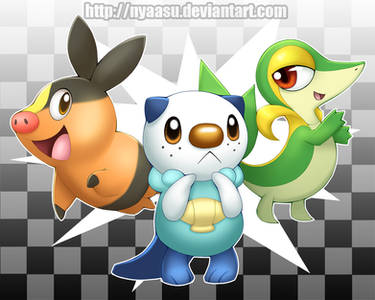 Black and White Starters - Group Shot