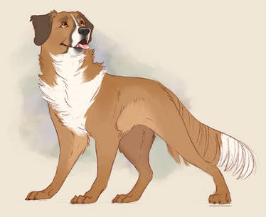 Explore the Best Buck Art | DeviantArt