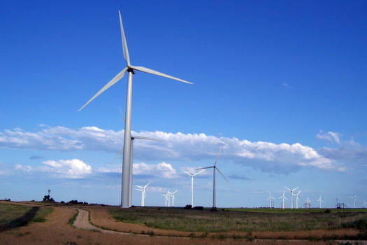 Field of Turbines