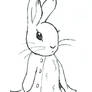 Peter Rabbit sketch