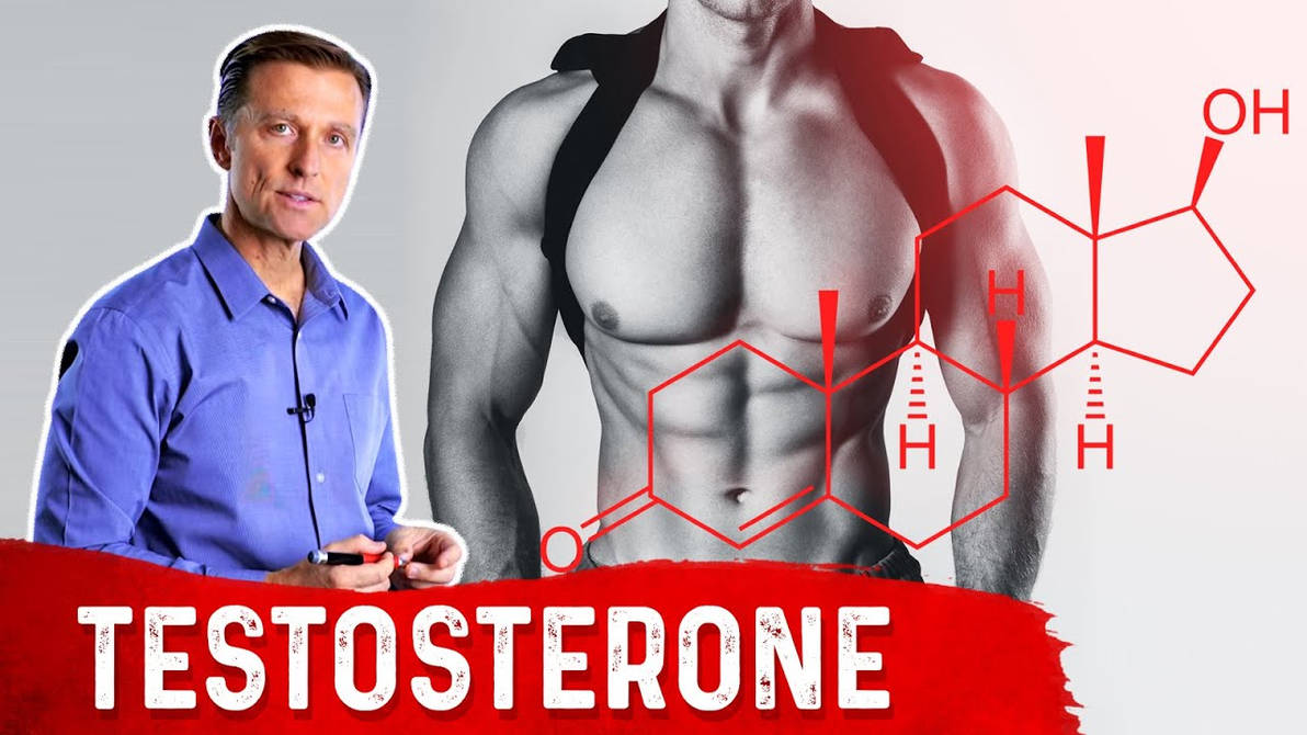 Низкий тестостерон врач. Тестостерон топ лицо. Тестостерон картинки. Обои на телефон тестостерон. Уролог тестостерон.